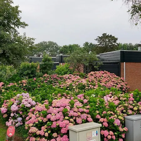 Family Escape Near Keukenhof *