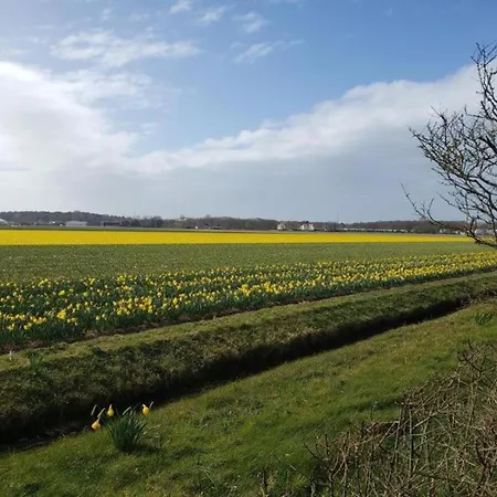 別荘 Family Escape Near Keukenhof *