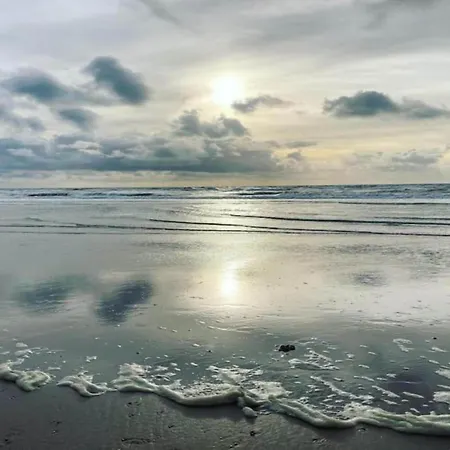 Family Escape Near Keukenhof * ノールトウェイケルハウト　