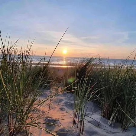 Family Escape Near Keukenhof *