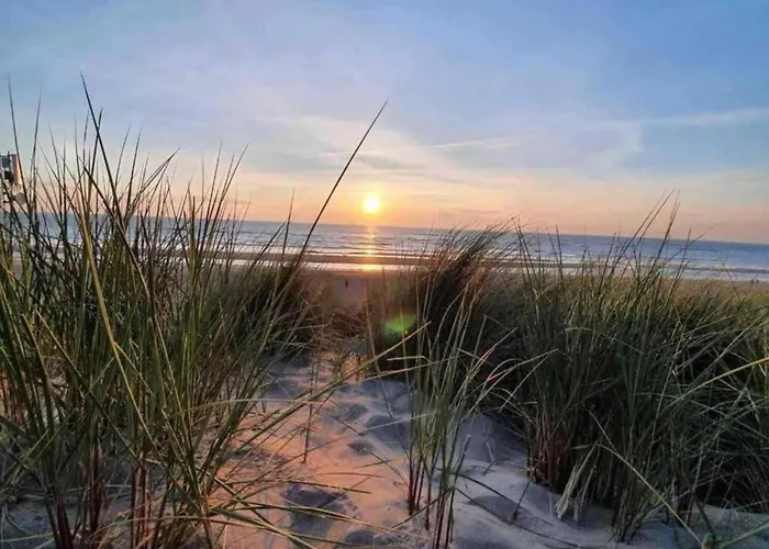 Family Escape Near Keukenhof *