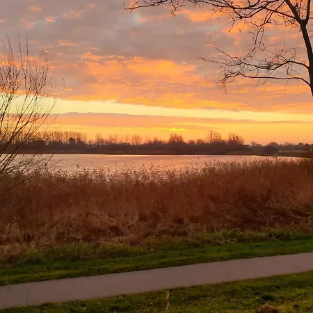 Family Escape Near Keukenhof * Noordwijkerhout