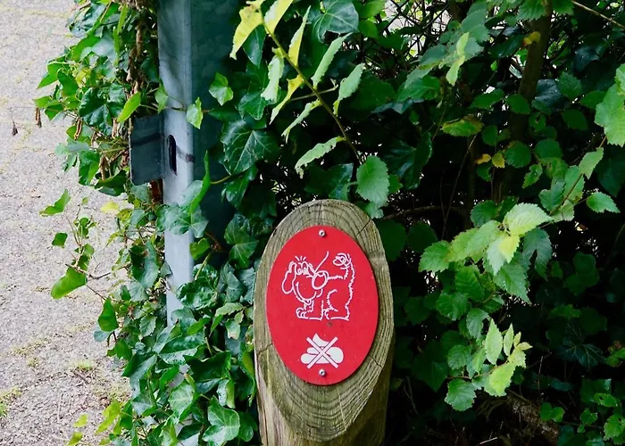 Family Escape Near Keukenhof *