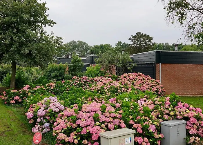 Family Escape Near Keukenhof *