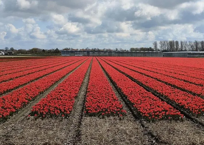 Family Escape Near Keukenhof