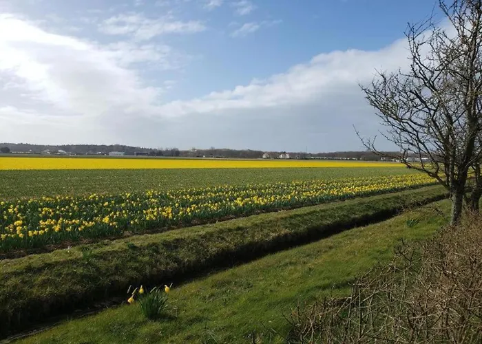 Сasa de vacaciones Family Escape Near Keukenhof *