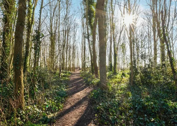 Family Escape Near Keukenhof *